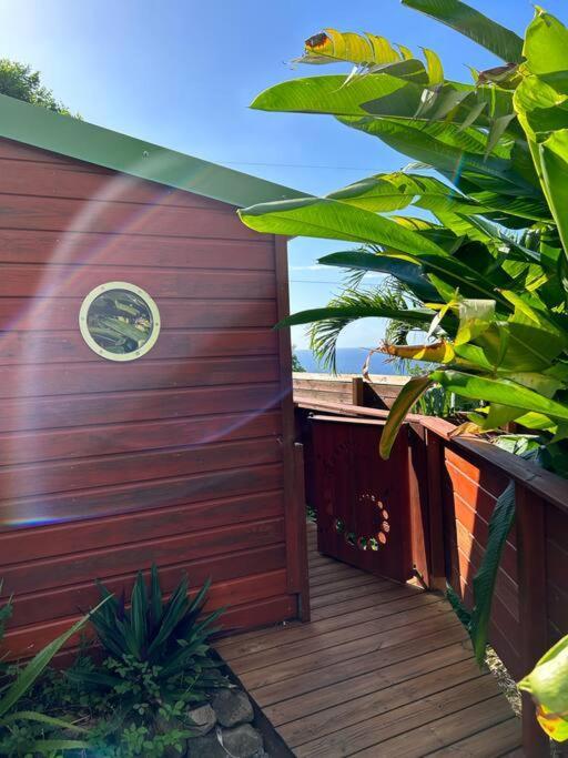 Bungalow, Gite Les Fleurs Du Colibri Bouillante Exteriör bild